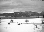 Archiv Foto Webcam Salenberghof: Blick auf Forggensee 06:00