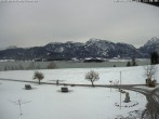 Archiv Foto Webcam Salenberghof: Blick auf Forggensee 11:00