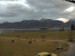 Archived image Webcam Salenberghof, Lake Forggensee 15:00