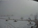 Archiv Foto Webcam Salenberghof: Blick auf Forggensee 11:00