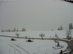 Archiv Foto Webcam Salenberghof: Blick auf Forggensee 13:00