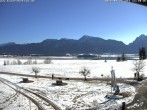 Archived image Webcam Salenberghof, Lake Forggensee 11:00