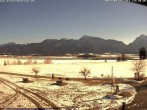 Archived image Webcam Salenberghof, Lake Forggensee 13:00