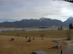 Archiv Foto Webcam Salenberghof: Blick auf Forggensee 13:00