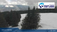 Archiv Foto Webcam Winter Park Martinky 12:00