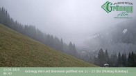 Archived image Webcam Grünegg Alm in Dienten 05:00