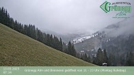 Archived image Webcam Grünegg Alm in Dienten 06:00