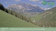 Archived image Webcam Grünegg Alm in Dienten 15:00