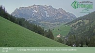 Archived image Webcam Grünegg Alm in Dienten 19:00