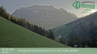 Archived image Webcam Grünegg Alm in Dienten 05:00