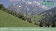 Archived image Webcam Grünegg Alm in Dienten 09:00