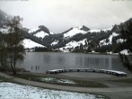 Archiv Foto Webcam Schwarzsee - See 09:00