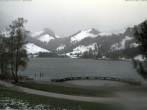 Archiv Foto Webcam Schwarzsee - See 17:00