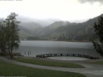 Archiv Foto Webcam Schwarzsee - See 11:00