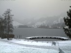 Archiv Foto Webcam Schwarzsee - See 11:00