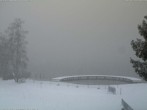 Archiv Foto Webcam Schwarzsee - See 13:00