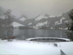 Archiv Foto Webcam Schwarzsee - See 15:00