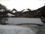 Archived image Webcam Schwarzsee - the lake 06:00