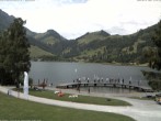 Archiv Foto Webcam Schwarzsee - See 11:00