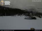 Archived image Webcam Brusson - Valley Aosta 11:00