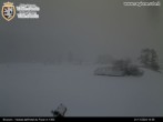 Archived image Webcam Brusson - Valley Aosta 13:00