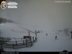 Archived image Webcam Brusson - View over the slope 13:00
