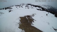 Archived image Webcam Mutta direction Alp Raguta 11:00