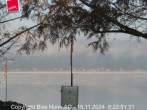 Archived image Webcam Murten - Lake Morat 07:00