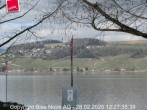 Archived image Webcam Murten - Lake Morat 11:00