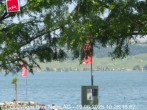 Archived image Webcam Murten - Lake Morat 09:00