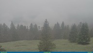 Archiv Foto Webcam La Dôle - La Barillette 11:00
