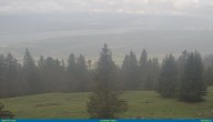 Archived image Webcam La Dôle (La Barillette) 12:00
