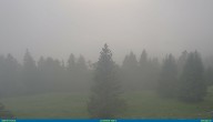 Archived image Webcam La Dôle (La Barillette) 19:00