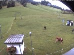 Archived image Webcam Skilifte Raggal the slope 09:00