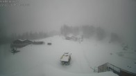 Archiv Foto Webcam Bergrestaurant Giw auf 2000m 13:00