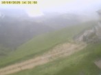 Archived image Webcam Alpe del Nevegal - Rifugio Visentin 13:00