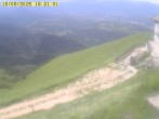 Archived image Webcam Alpe del Nevegal - Rifugio Visentin 15:00