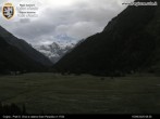 Archiv Foto Webcam Cogne Gran Paradiso Talblick 07:00