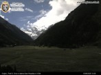 Archiv Foto Webcam Cogne Gran Paradiso Talblick 11:00