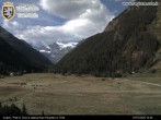 Archiv Foto Webcam Cogne Gran Paradiso Talblick 09:00