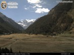 Archiv Foto Webcam Cogne Gran Paradiso Talblick 11:00
