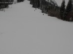 Archiv Foto Webcam Spieserlifte Unterjoch Blick auf die Piste 13:00