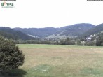 Archiv Foto Webcam Bernau: Spitzenberg & Köpfle 11:00