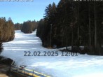 Archiv Foto Webcam St. Englmar: Pröller Pisten 11:00