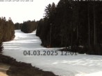 Archived image Webcam Pröller - Slopes 11:00