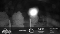 Archived image Webcam Ruhrquelle Winterberg 23:00