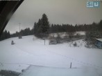 Archiv Foto Webcam Skirollerbahn Fichtelberg 09:00