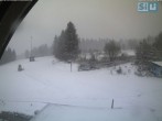 Archiv Foto Webcam Skirollerbahn Fichtelberg 11:00