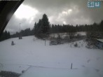 Archiv Foto Webcam Skirollerbahn Fichtelberg 13:00