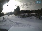 Archiv Foto Webcam Skirollerbahn Fichtelberg 11:00